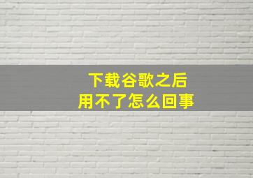 下载谷歌之后用不了怎么回事