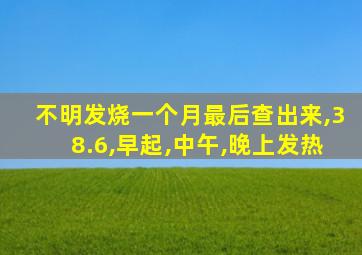 不明发烧一个月最后查出来,38.6,早起,中午,晚上发热