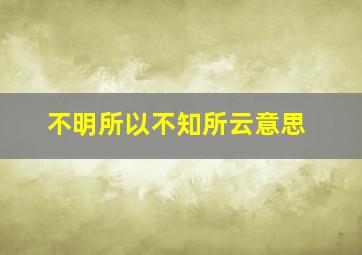 不明所以不知所云意思