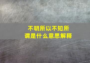 不明所以不知所谓是什么意思解释