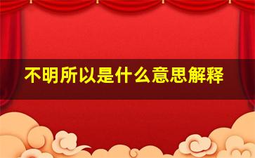 不明所以是什么意思解释