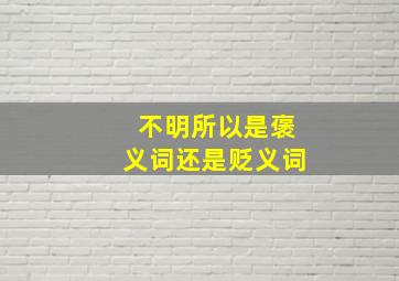 不明所以是褒义词还是贬义词