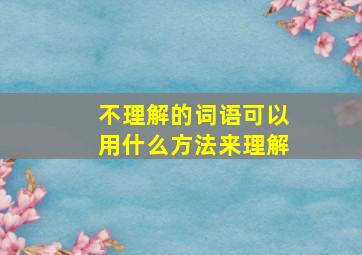 不理解的词语可以用什么方法来理解