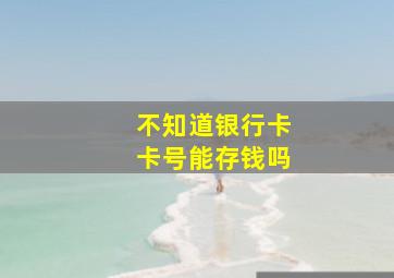 不知道银行卡卡号能存钱吗