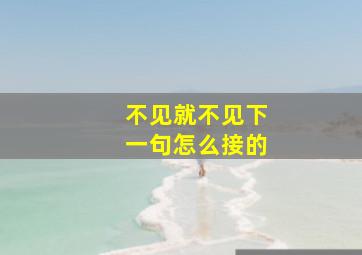 不见就不见下一句怎么接的