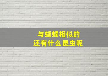 与蝴蝶相似的还有什么昆虫呢