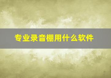 专业录音棚用什么软件