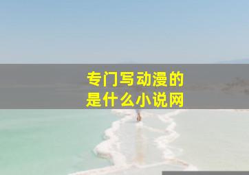 专门写动漫的是什么小说网