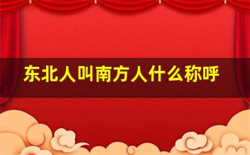 东北人叫南方人什么称呼