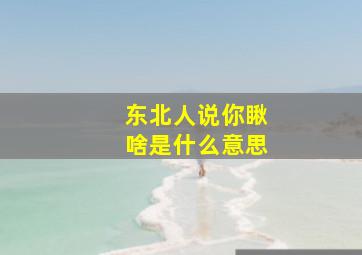 东北人说你瞅啥是什么意思