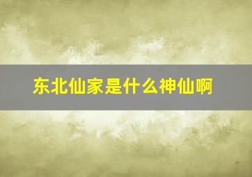 东北仙家是什么神仙啊