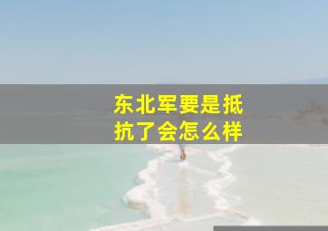 东北军要是抵抗了会怎么样