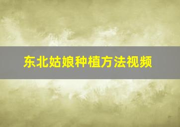 东北姑娘种植方法视频