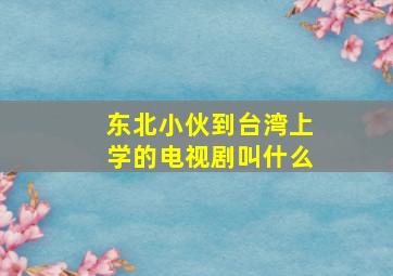 东北小伙到台湾上学的电视剧叫什么