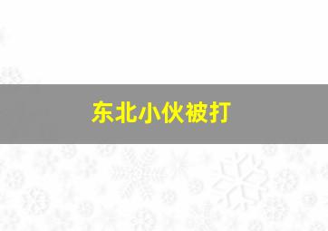 东北小伙被打