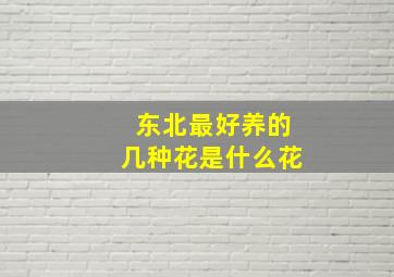 东北最好养的几种花是什么花