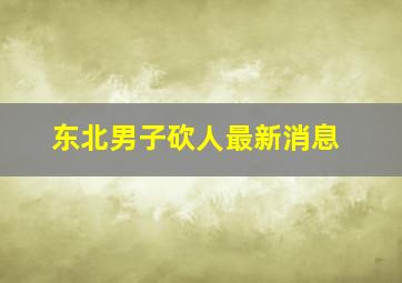 东北男子砍人最新消息