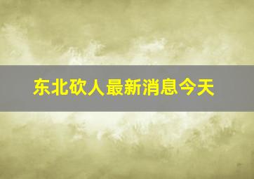 东北砍人最新消息今天