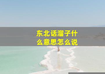 东北话溜子什么意思怎么说