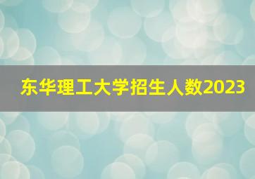 东华理工大学招生人数2023