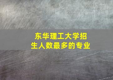 东华理工大学招生人数最多的专业