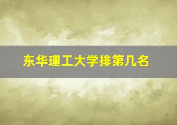 东华理工大学排第几名