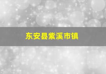 东安县紫溪市镇