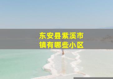 东安县紫溪市镇有哪些小区