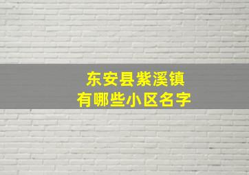 东安县紫溪镇有哪些小区名字