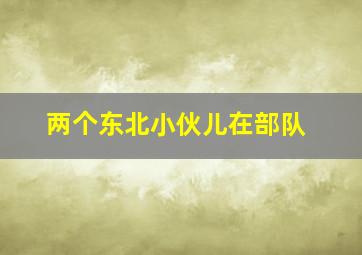 两个东北小伙儿在部队