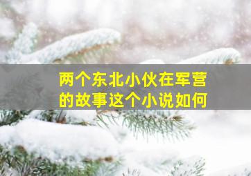 两个东北小伙在军营的故事这个小说如何