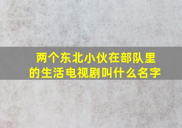 两个东北小伙在部队里的生活电视剧叫什么名字