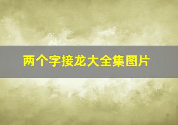 两个字接龙大全集图片