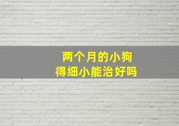 两个月的小狗得细小能治好吗