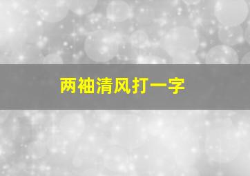 两袖清风打一字