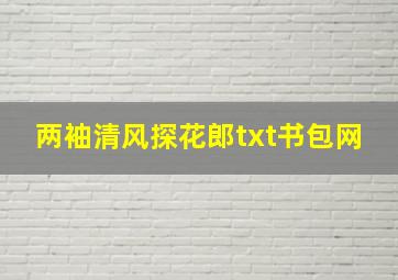 两袖清风探花郎txt书包网