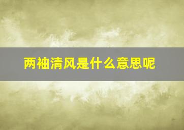 两袖清风是什么意思呢