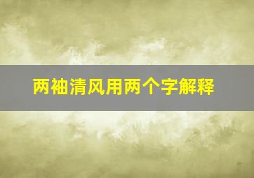 两袖清风用两个字解释