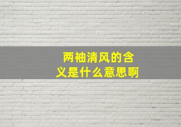 两袖清风的含义是什么意思啊