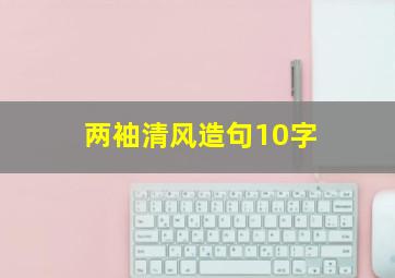 两袖清风造句10字