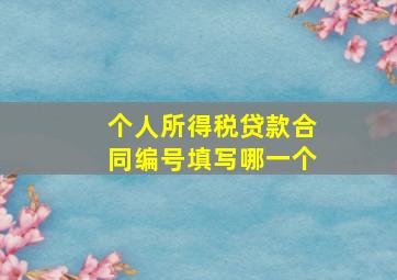 个人所得税贷款合同编号填写哪一个