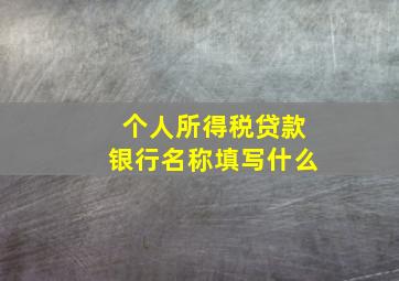 个人所得税贷款银行名称填写什么