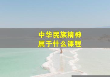 中华民族精神属于什么课程