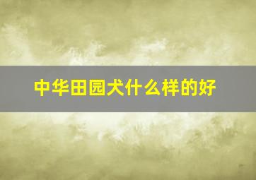 中华田园犬什么样的好