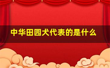 中华田园犬代表的是什么