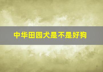 中华田园犬是不是好狗