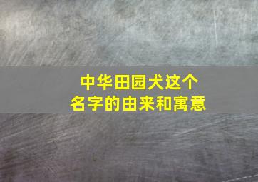 中华田园犬这个名字的由来和寓意