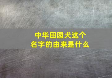 中华田园犬这个名字的由来是什么