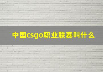 中国csgo职业联赛叫什么