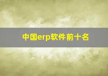 中国erp软件前十名